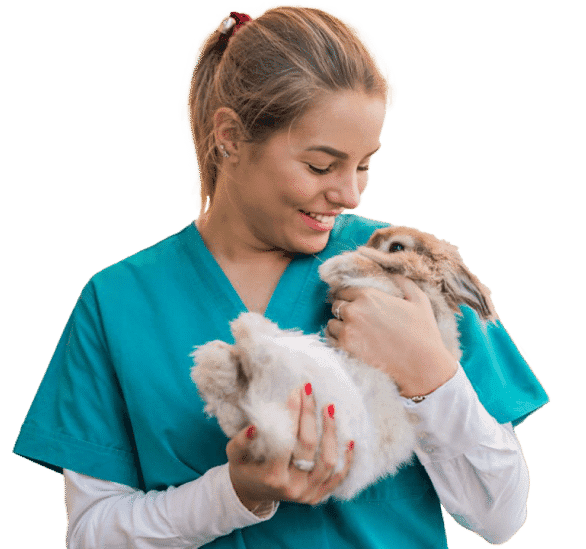 Cursos de Veterinária: Especializa-te no(s) que mais adoras!