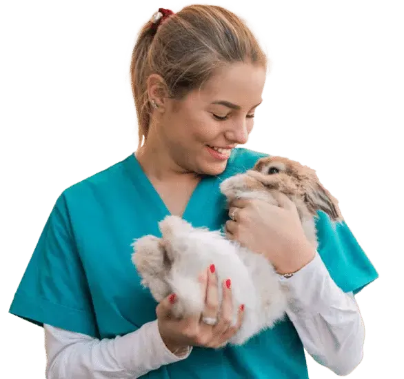 Cursos de Veterinária: Especializa-te no(s) que mais adoras!