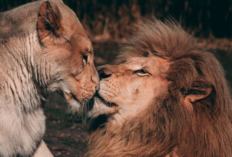 Nubika chega a Portugal