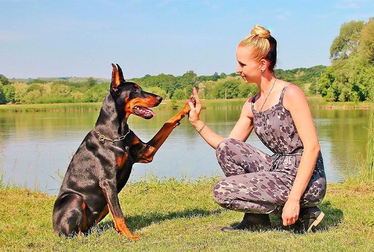 Vantagens da Terapia Assistida por Animais em Psicologia