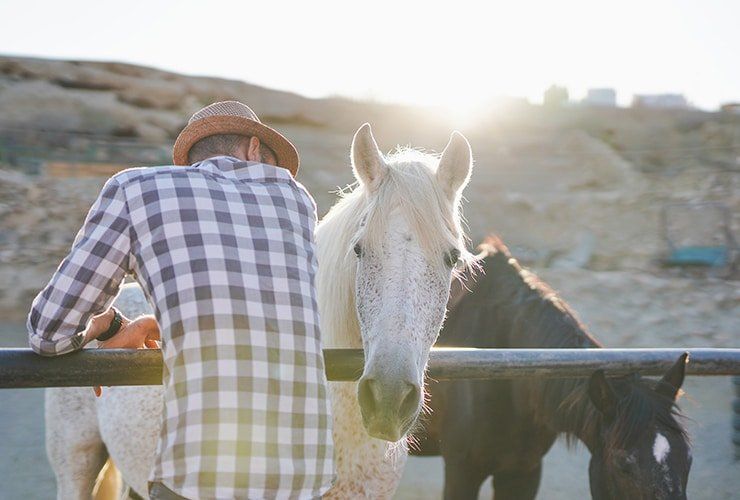 Terapia Assistida por Animais para superar a fobia de cães