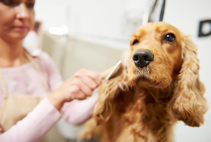 Imagen cabecera post