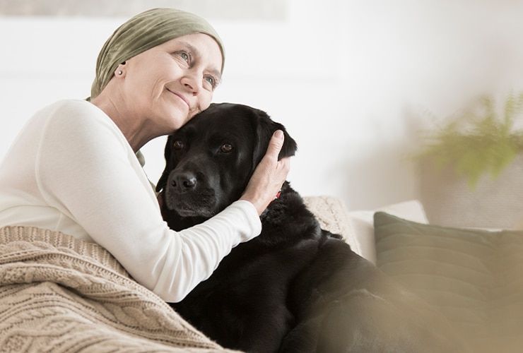 Terapia Assistida por Animais: saídas profissionais