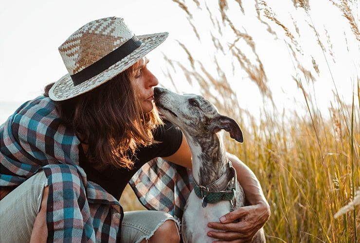 Recrutamento para Trabalhar com Animais: Como Funciona?