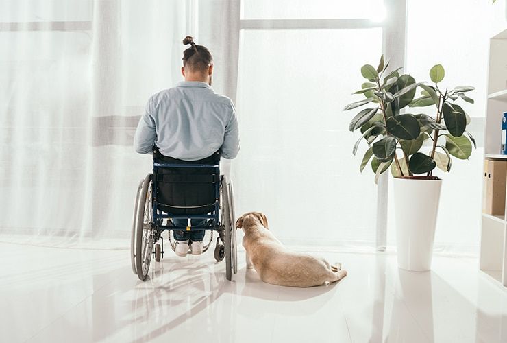 O que é a Terapia Assistida por Animais (TAA)?