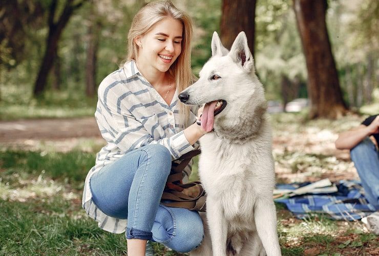 Os benefícios de trabalhar com animais: razões para seguir uma carreira na área de cuidados com animais