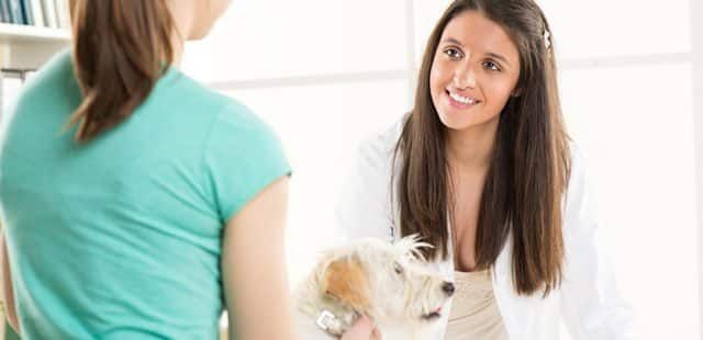 A importância da educação e sensibilização sobre o bem-estar animal