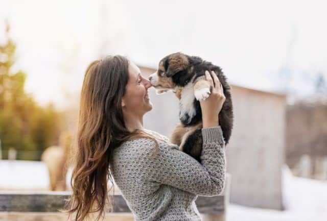 Quais são os animais de estimação mais populares em Portugal?