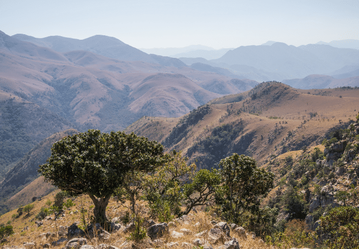 O que são reservas naturais e qual a sua importância?