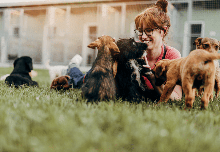Animais de companhia ou animais em zoológicos? Duas opções de formação para Auxiliar de Veterinária