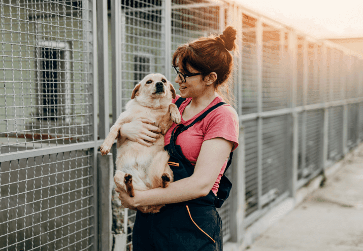 O Que Devo Saber Antes de Adotar um Animal de Estimação?