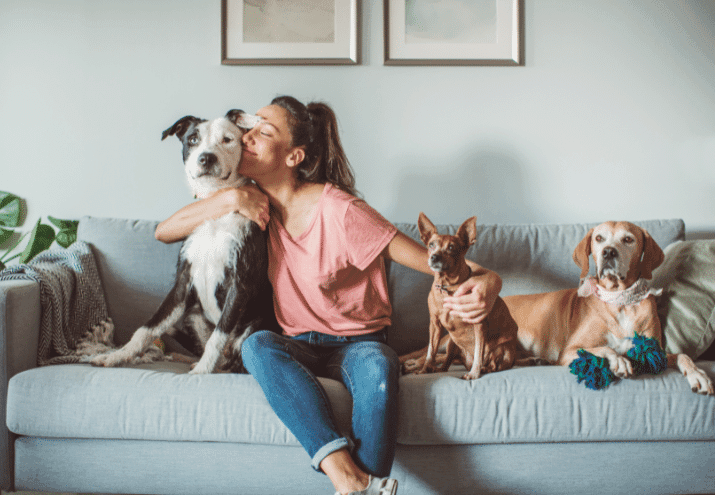 Como escolher um pet sitter para o seu animal de estimação?