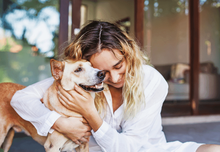 Onde deixar os animais de estimação nas férias?