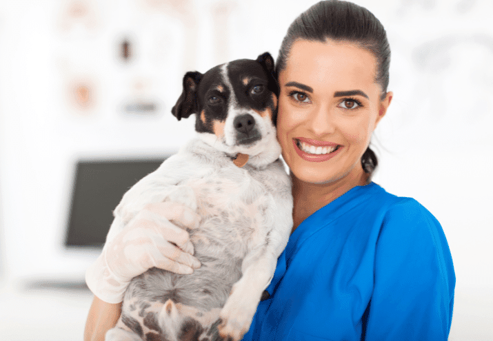 Cuidados Essenciais na Saúde Animal: O Que Um Auxiliar de Veterinária Deve Saber