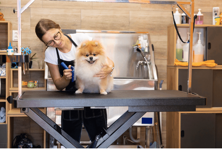 Erros a Evitar no Início de Carreira como Groomer Profissional