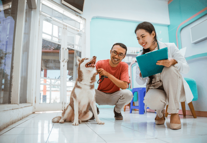 Profissões na Área Animal: Por Que Estão em Alta