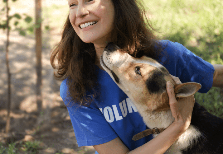 Como Melhorar o Bem-Estar dos Animais em Abrigos: Boas Práticas e Desafios
