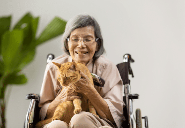 Por Que Trabalhar com TAA é Mais do que uma Profissão – É uma Missão