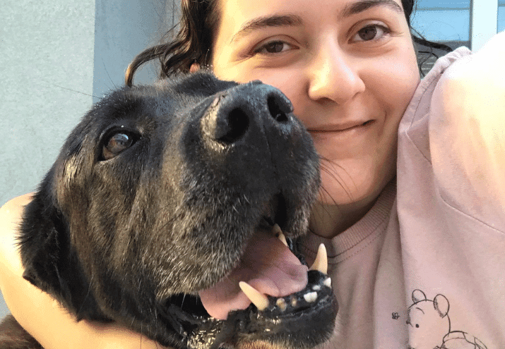 Luísa Lopes: a advogada que descobriu a sua vocação no treino canino