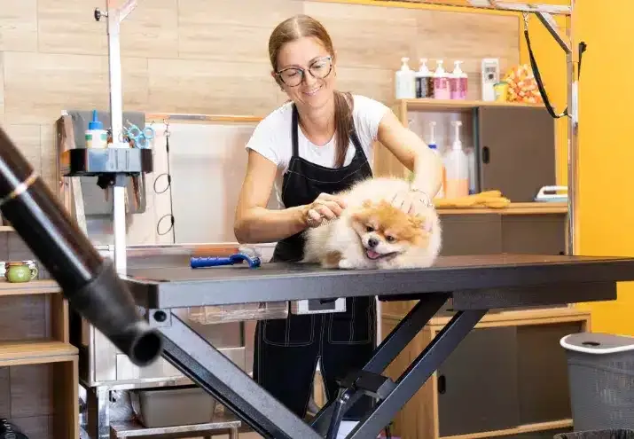 Como fidelizar clientes no grooming: dicas de atendimento e seguimento