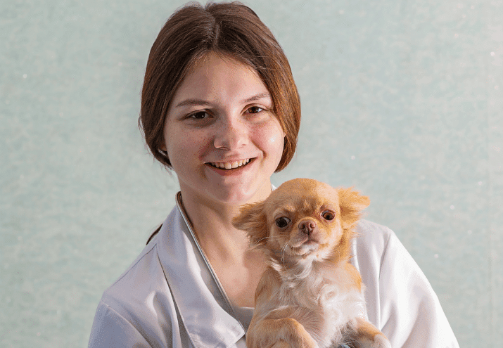 Trabalho em Turnos: Como Gerir a Rotina de um Auxiliar de Veterinária