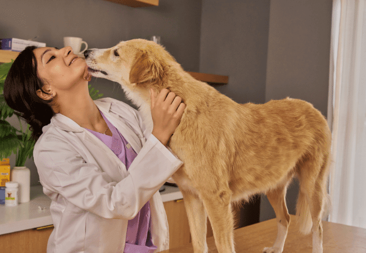 Como funciona o internamento numa clínica veterinária (e quem cuida do teu animal quando não estás lá)