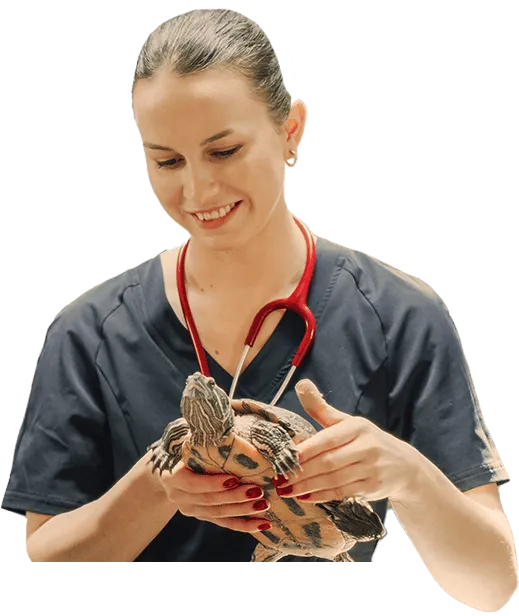 Técnico de Animais Exóticos