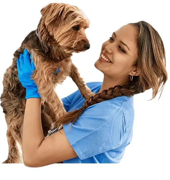 Auxiliar de Veterinária