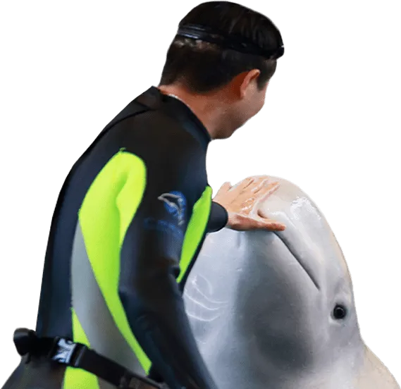 Técnico de Animais Marinhos