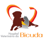 Hospital Bicuda