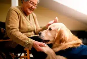 Terapia Assistida por Animais