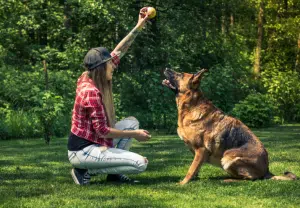 cão a brincar com tutora no jardim
