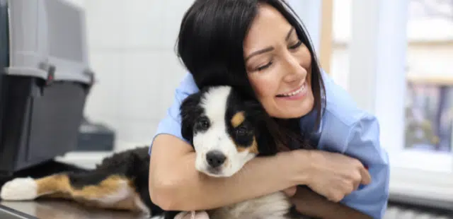 Ser Auxiliar de Veterinaria: Auxiliar de Veterinaria a abraçar cão