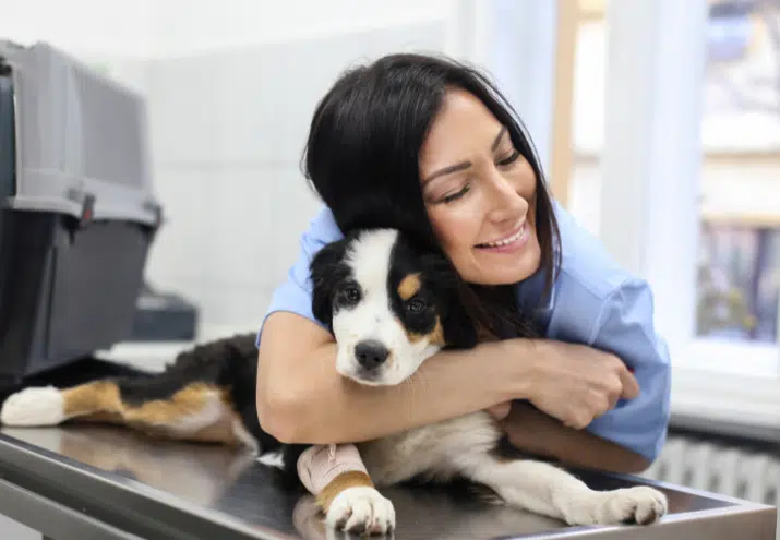Ser Auxiliar de Veterinaria: Auxiliar de Veterinaria a abraçar cão