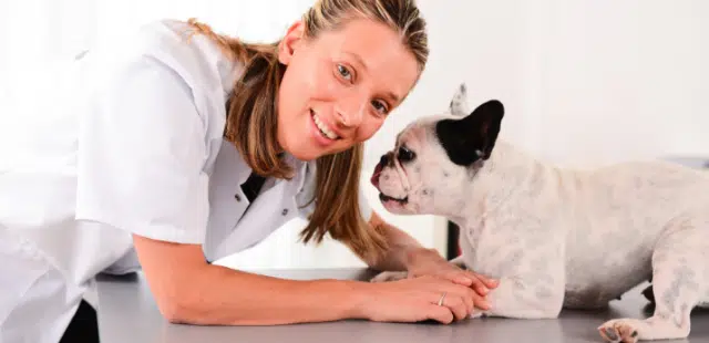 Primeiros passos como Auxiliar Veterinaria