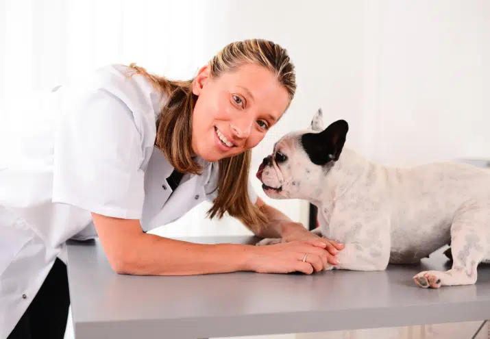 Primeiros passos como Auxiliar Veterinaria
