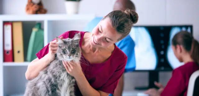 Auxiliar de Veterinária e a Relação com o Veterinário